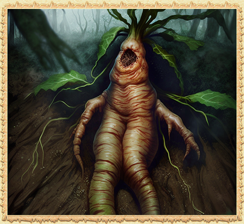 Gezgin Mandragora [Test]